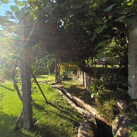 Quinta Da Chanca パレーデス・デ・コウラ エクステリア 写真