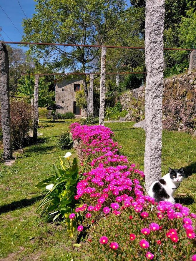 Quinta Da Chanca パレーデス・デ・コウラ エクステリア 写真