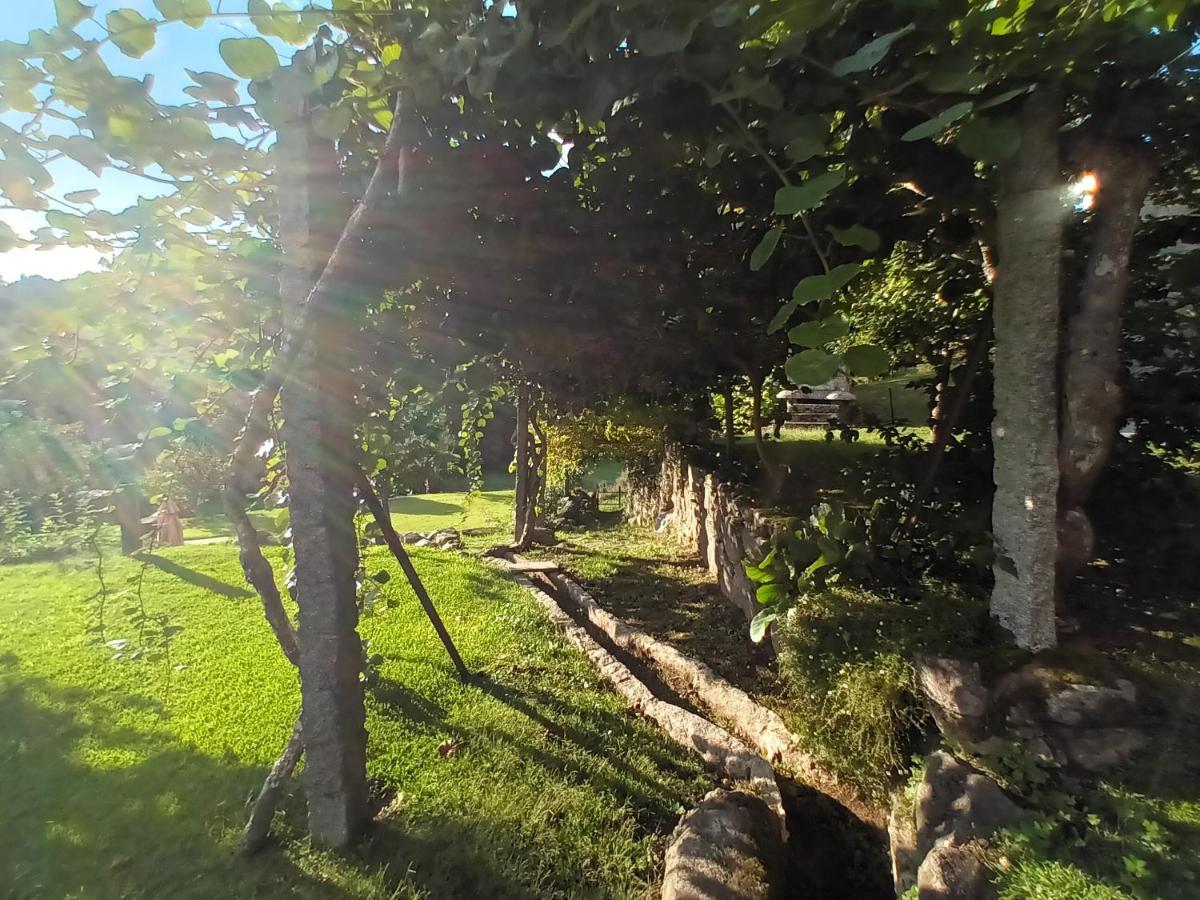 Quinta Da Chanca パレーデス・デ・コウラ エクステリア 写真