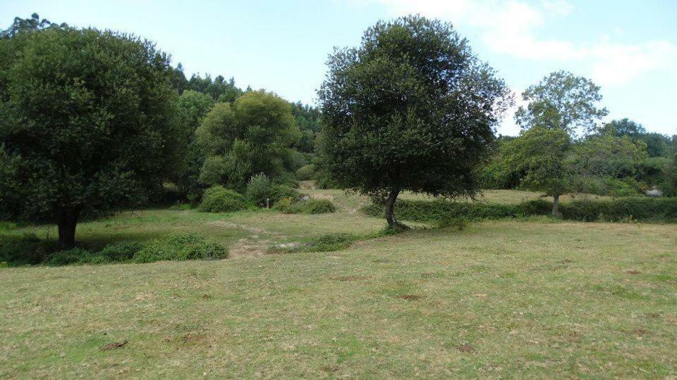 Quinta Da Chanca パレーデス・デ・コウラ エクステリア 写真