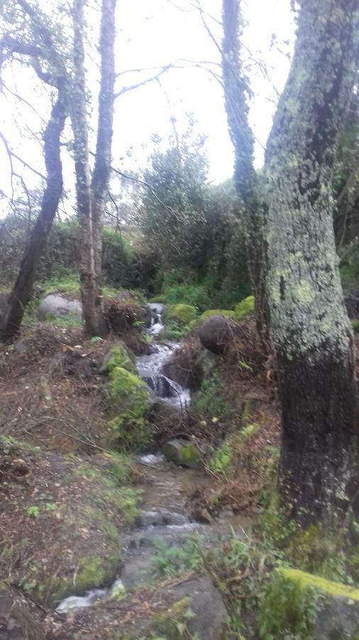 Quinta Da Chanca パレーデス・デ・コウラ エクステリア 写真
