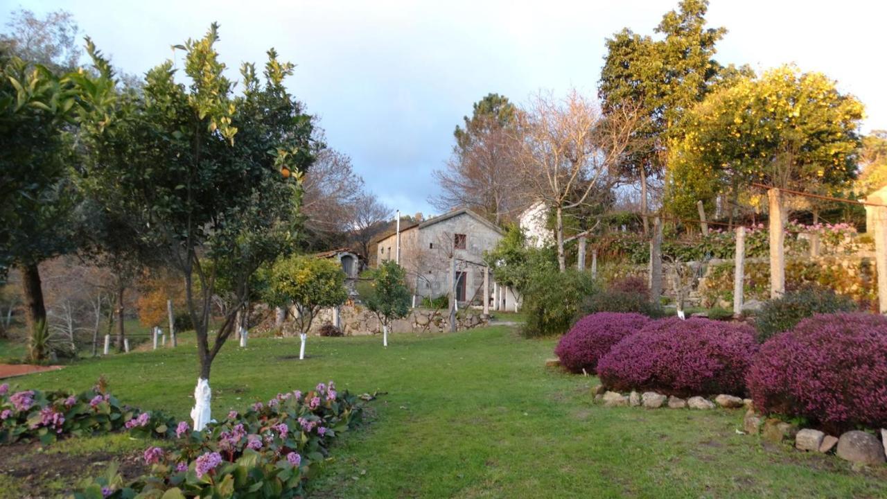 Quinta Da Chanca パレーデス・デ・コウラ エクステリア 写真